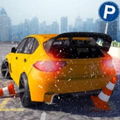 ѩͣ(Multi Level Snow Car Parking)ͼ