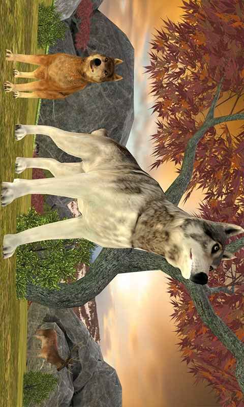 ҰðģWild Wolf Adventure SimulatorϷͼ