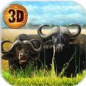 ģţBuffalo sim: Bull wild lifeͼ