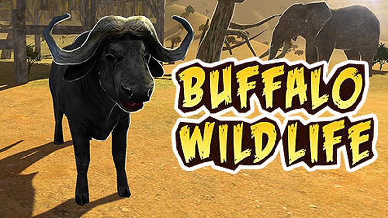 ģţBuffalo sim: Bull wild lifeϷͼ